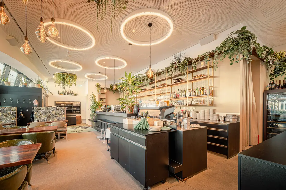 Bar mit dunkler Theke, Ringleuchten und Pflanzen