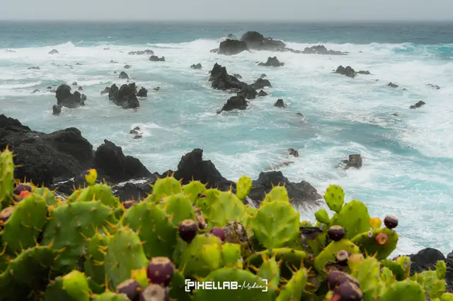 Azores, travel photo 43 of 199 by Pixellab-Media