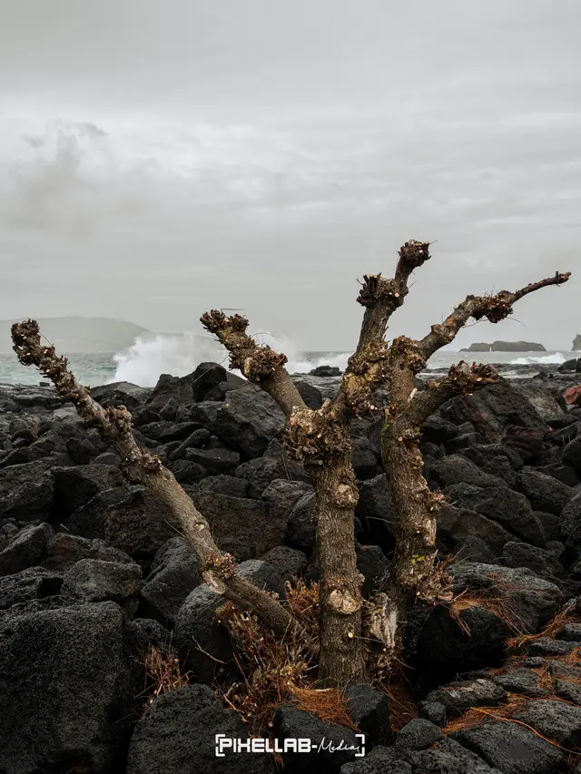 Azores, travel photo 92 of 199 by Pixellab-Media