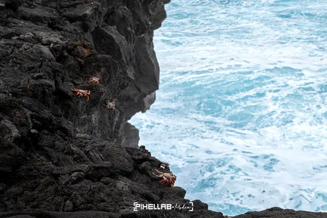 Azores, travel photo 128 of 199 by Pixellab-Media