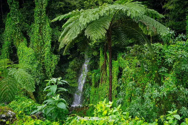 Azores, travel photo 146 of 199 by Pixellab-Media