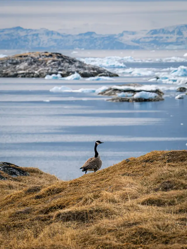 Greenland, travel photo 37 of 82 by Pixellab-Media