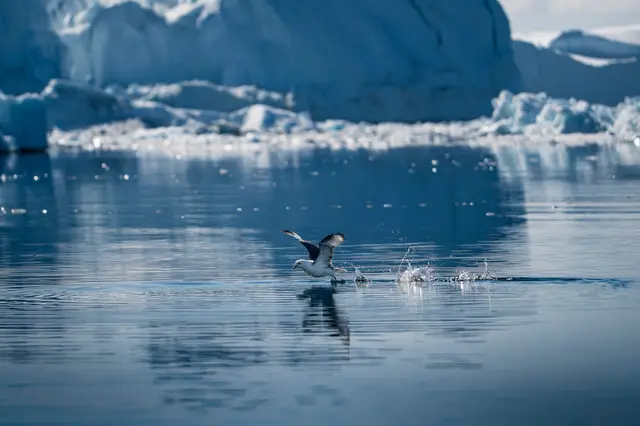 Greenland, travel photo 58 of 82 by Pixellab-Media