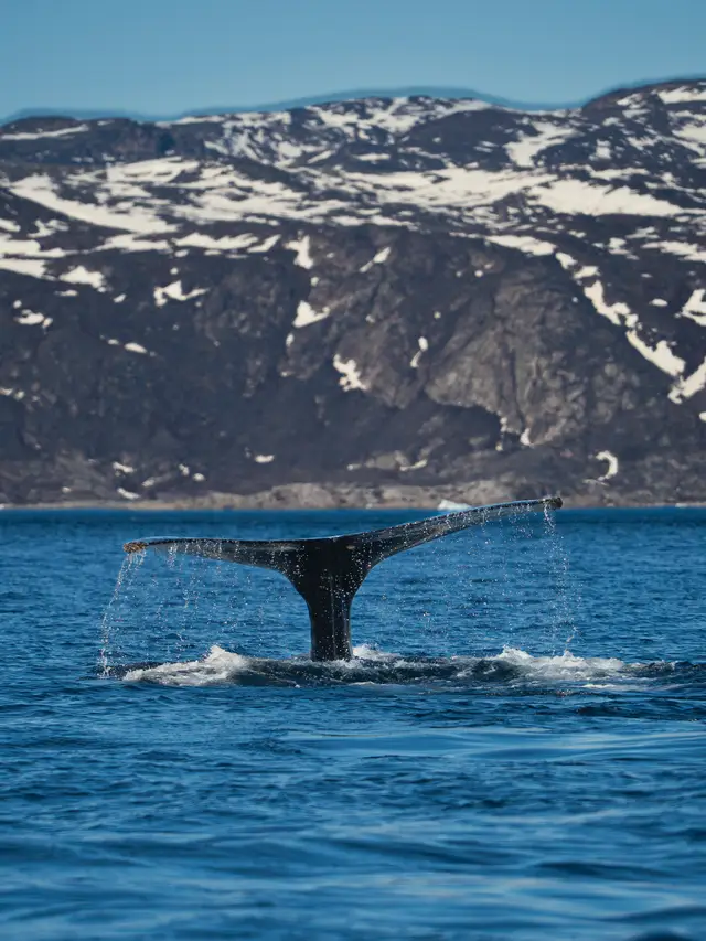 Greenland, travel photo 69 of 82 by Pixellab-Media