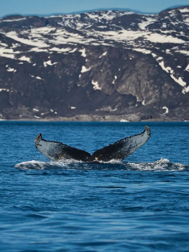 Greenland, travel photo 70 of 82 by Pixellab-Media