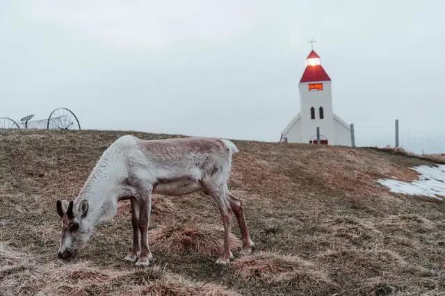 Iceland, travel photo 57 of 102 by Pixellab-Media