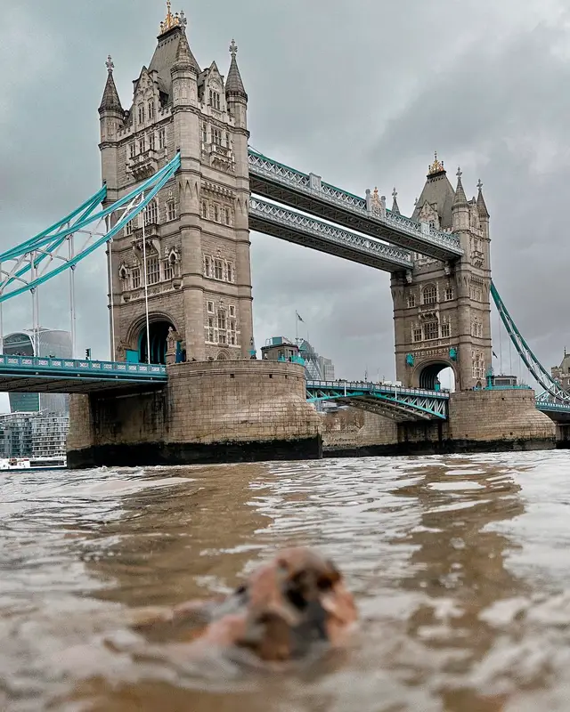 London, travel photo 2 of 19 by Pixellab-Media