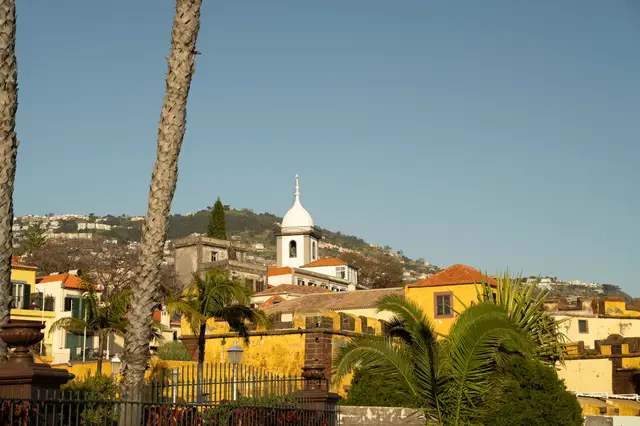 Madeira, travel photo 9 of 121 by Pixellab-Media