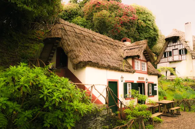 Madeira, travel photo 41 of 121 by Pixellab-Media