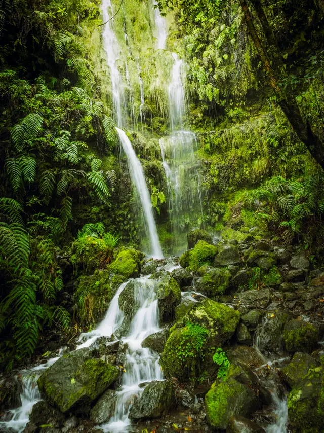 Madeira, travel photo 43 of 121 by Pixellab-Media