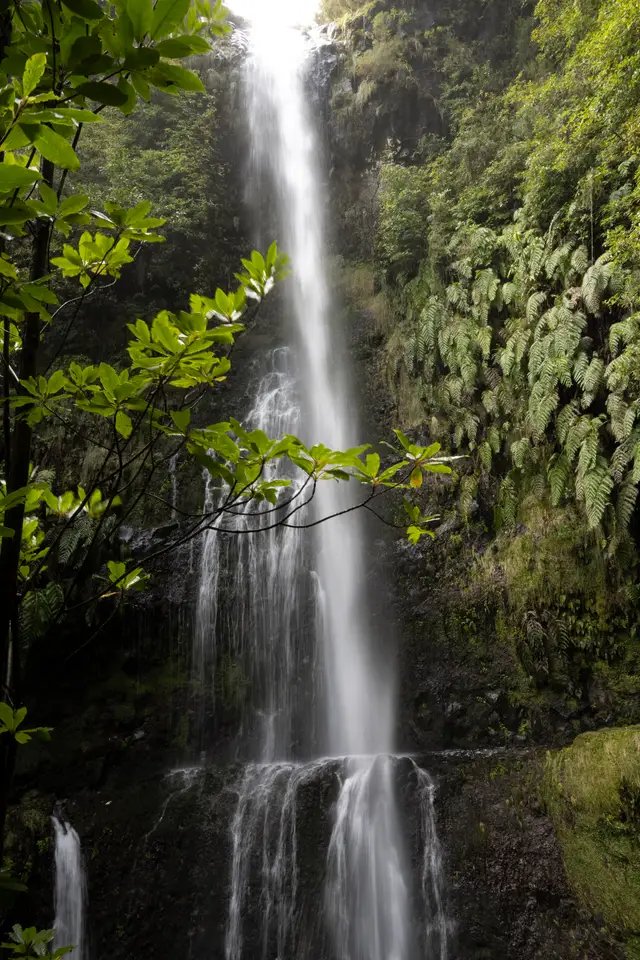 Madeira, travel photo 44 of 121 by Pixellab-Media