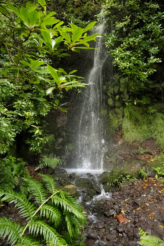 Madeira, travel photo 46 of 121 by Pixellab-Media