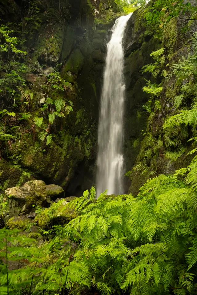 Madeira, travel photo 51 of 121 by Pixellab-Media