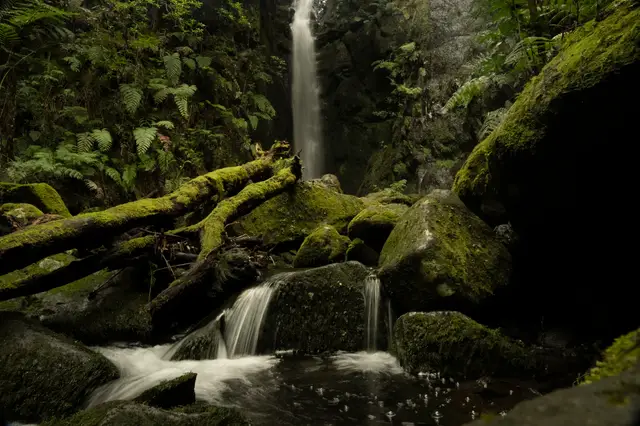 Madeira, travel photo 53 of 121 by Pixellab-Media