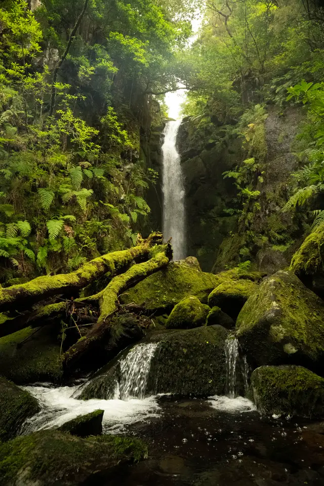 Madeira, travel photo 54 of 121 by Pixellab-Media