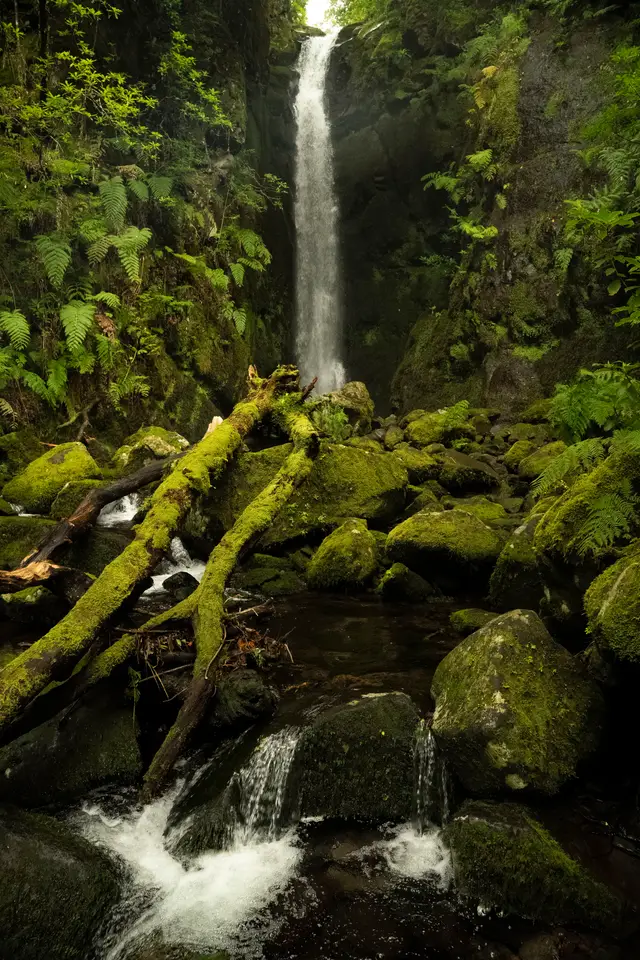 Madeira, travel photo 55 of 121 by Pixellab-Media