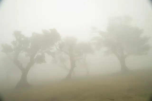 Madeira, travel photo 67 of 121 by Pixellab-Media