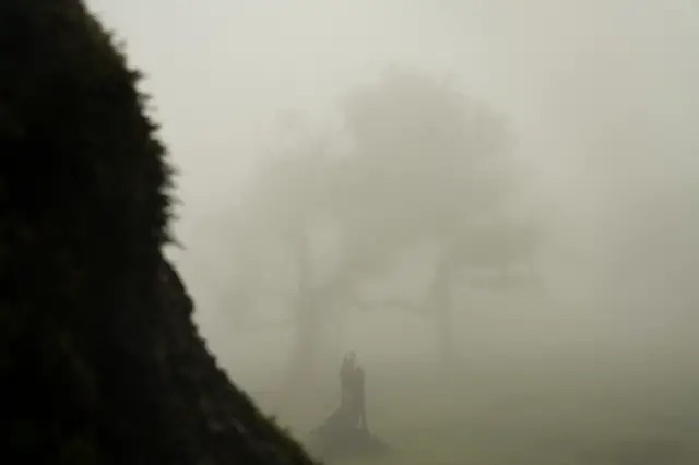 Madeira, travel photo 69 of 121 by Pixellab-Media