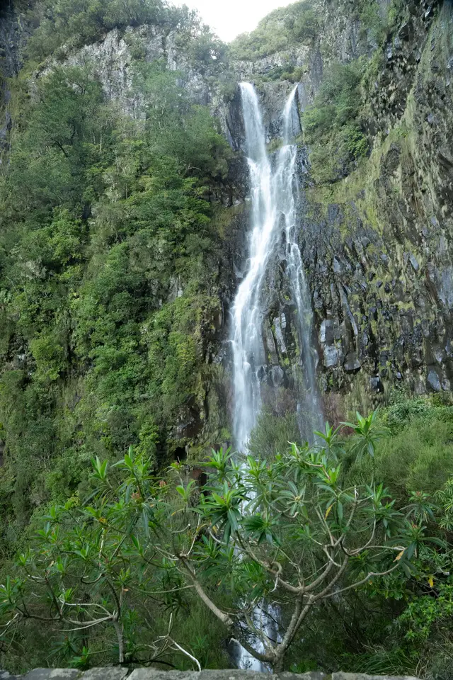 Madeira, travel photo 86 of 121 by Pixellab-Media
