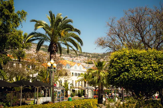 Madeira, travel photo 115 of 121 by Pixellab-Media