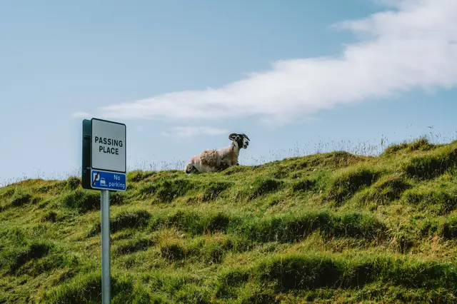 Scotland, travel photo 67 of 99 by Pixellab-Media