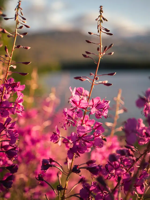 Sweden, travel photo 5 of 18 by Pixellab-Media